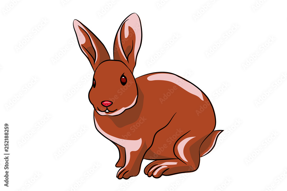 Obraz premium rabbit rabbit rabbit