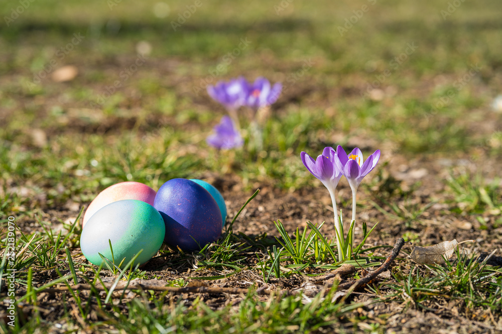 painted easter eggs and crocus painted easter eggs and crocus