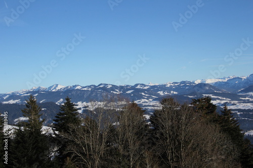 Panoramablick vom Pfänder