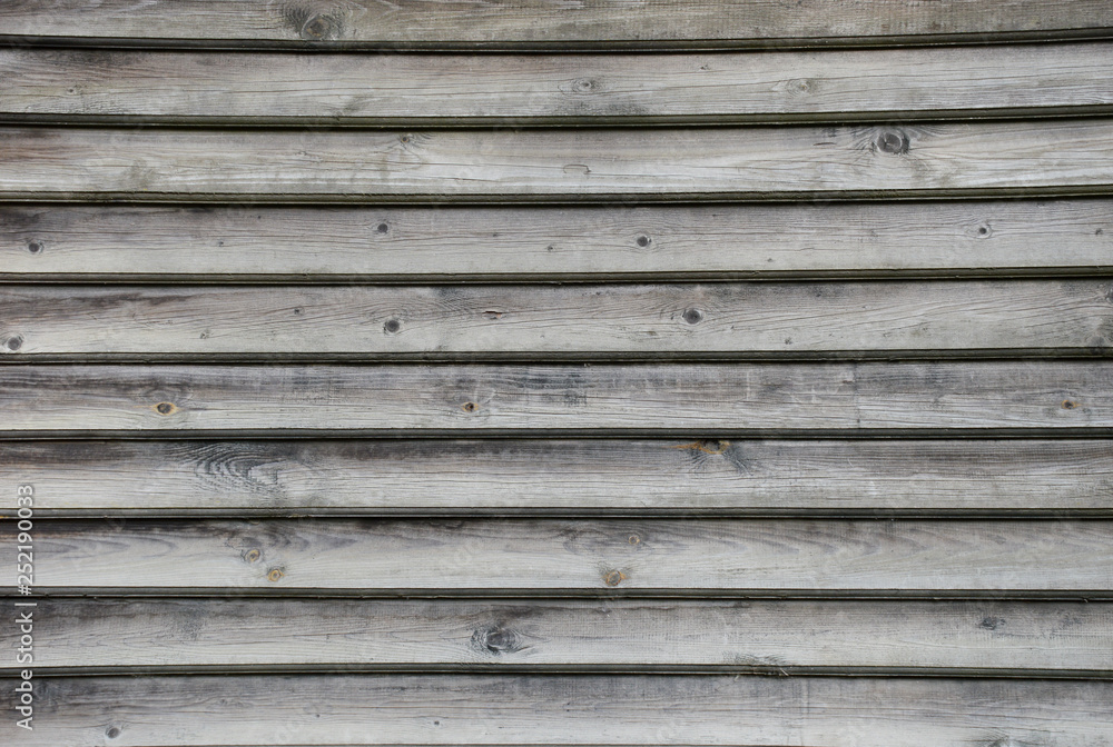 Obraz premium old wood texture background