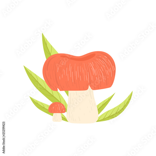 Forest Edible Mushroom and Green Grass, Wild Organic Product Vector Illustration