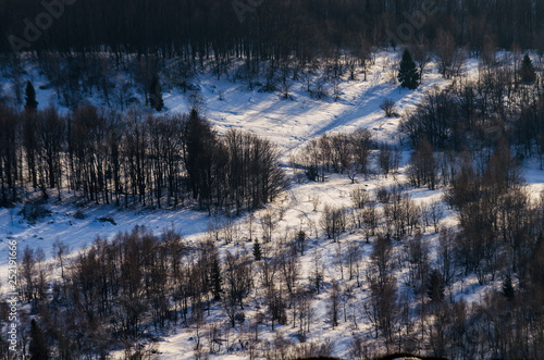 Fototapeta Naklejka Na Ścianę i Meble -  Bieszczady panorama zimą