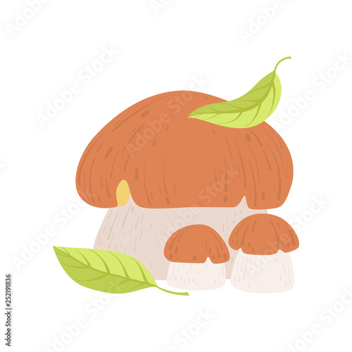 Wild Forest Edible Mushroom, Eco Organic Product Vector Illustration