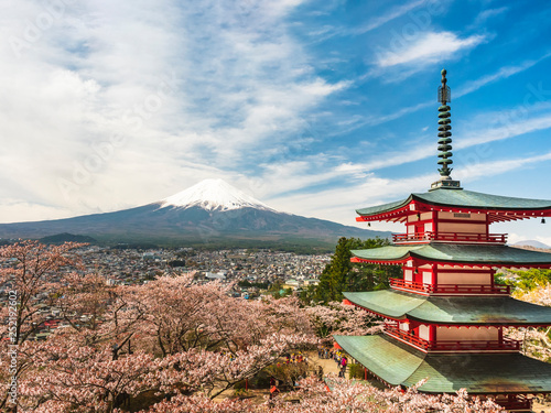 Japan Fuji mountain Sakura cherry blossom with Red pagoda Japan Landmark