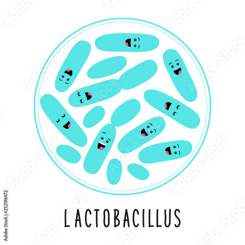 Funny probiotics bacteria lactobacillus family cartoon characters isolated on white, microbiom in flat style