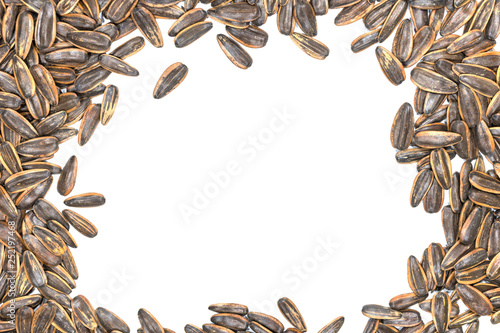 Top view dry Sun Flower seed is a frame pattern isolated on white background. copy space