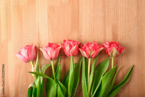 Beautiful fresh tulips on wooden background