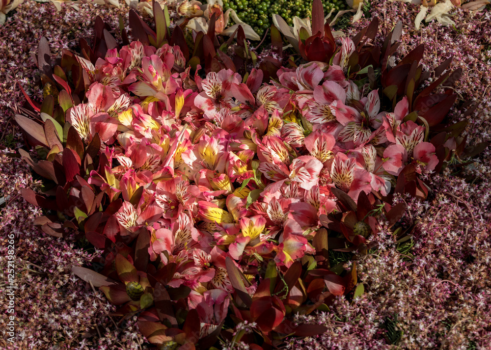 Composition with colorful flowers in the shape of a heart Composition with colorful flowers in the shape of a heart
