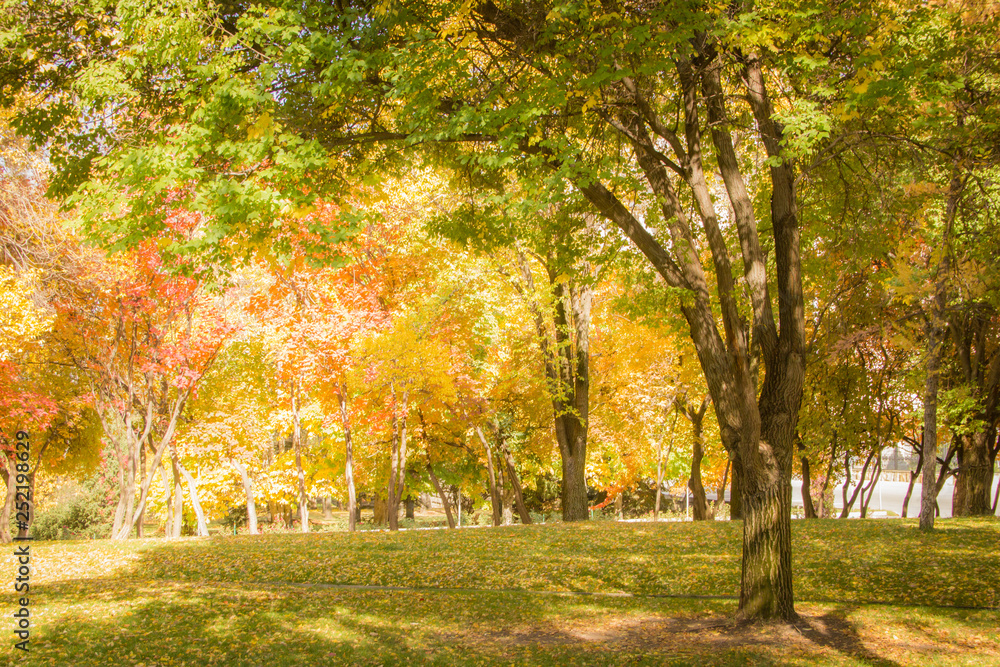 Fototapeta premium Autumn Park, Ałmaty, Kazachstan