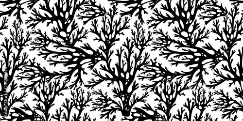 Tree branches or coral algae doodle linear seamless pattern.