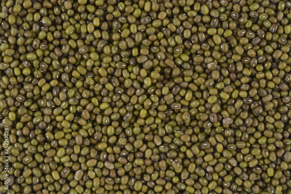 Soja verde cruda Soja verde cruda
