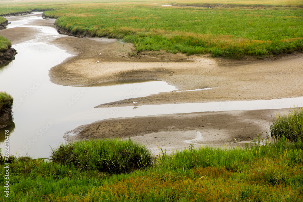 German North Sea coast with sand dunes, mud, grass, water and seagulls German North Sea coast with sand dunes, mud, grass, water and seagulls