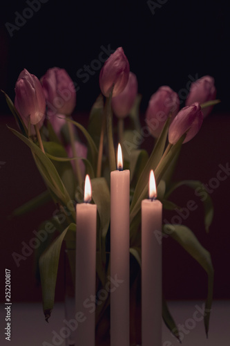 Tulips by candle light (ID: 252200817)