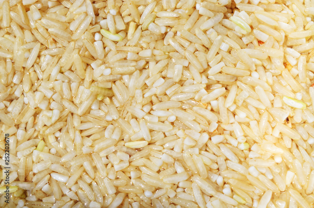 Uncooked brown rice texture, Starchy foods and carbohydrate Uncooked brown rice texture, Starchy foods and carbohydrate