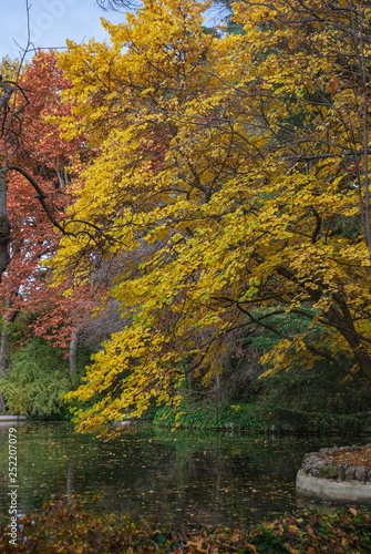 Autumnal trees in the Capricho Park of Madrid  Spain