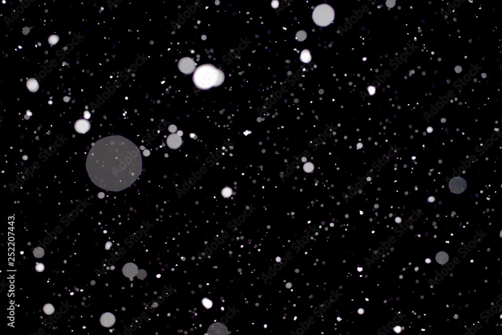 Large flakes of snow against the black sky, swirling in the light of lantern. - Image Large flakes of snow against the black sky, swirling in the light of lantern. - Image