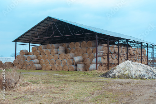Huge barn for storing hay. Large bales of hay are stored under a large canopy. Waste from harvest Feed for herbivores, livestock