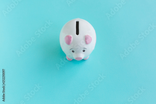 Piggy bank isolated on aquamarine background