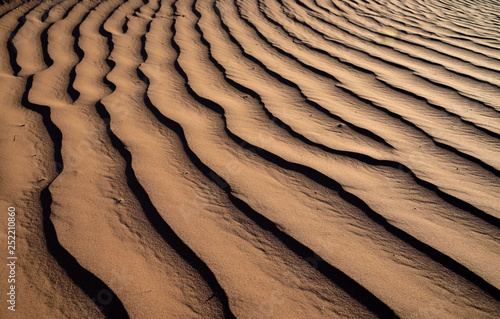 Wellenlinien in einer Sanddüne photo
