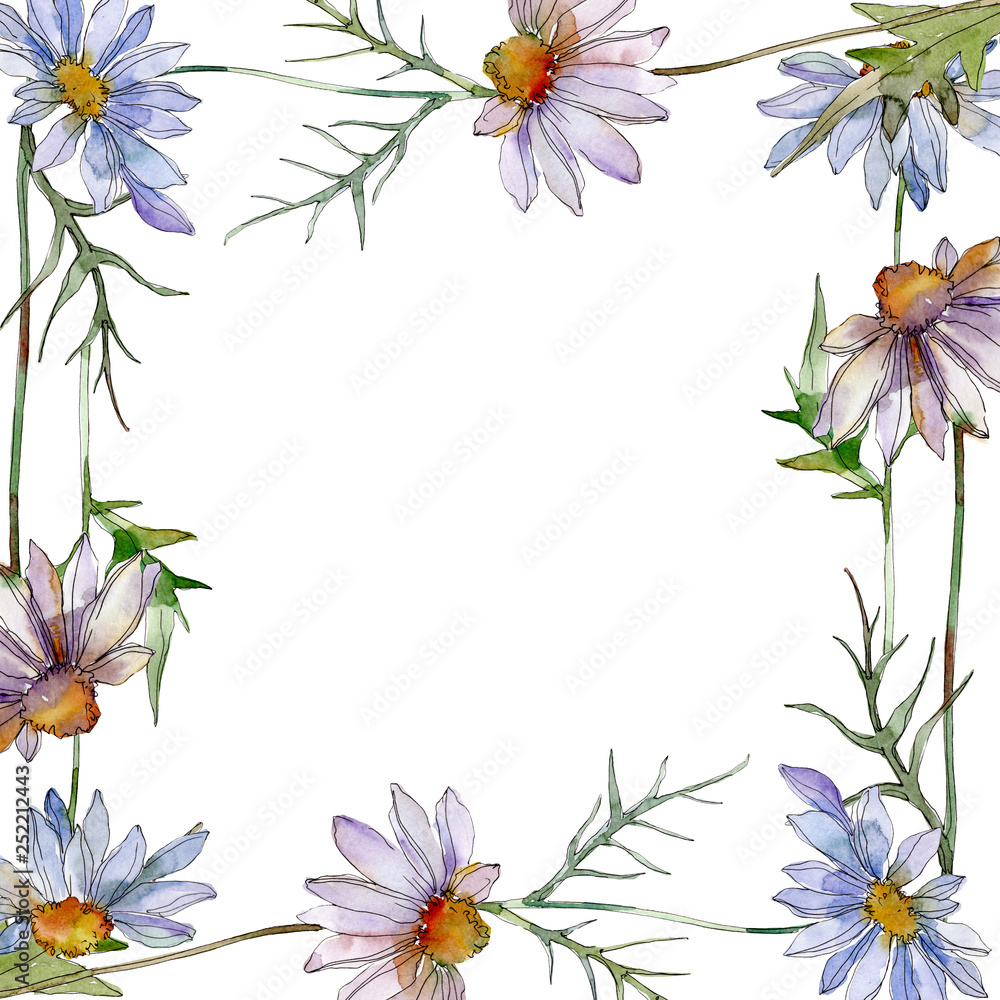 Daisy and chamomile floral botanical flower. Watercolor background illustration set. Frame border ornament square.