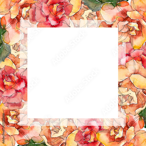 Red and orange Rose floral botanical flower. Watercolor background illustration set. Frame border ornament square.