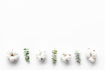 Flowers border with green eucalyptus branches and dry cotton on white background top view copy space. Blog header mockup