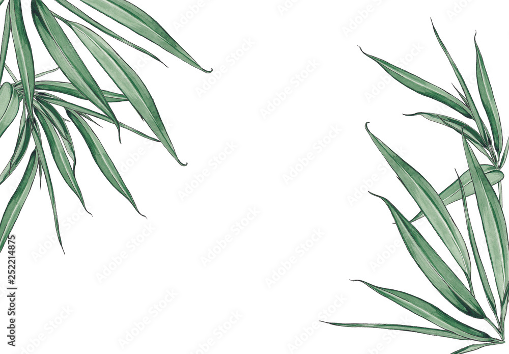 Floral background with bamboo leaves. Floral background with bamboo leaves.