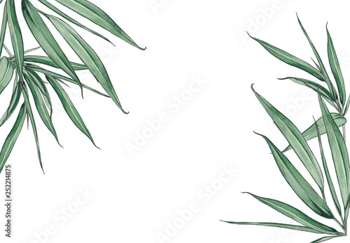 Floral background with bamboo leaves.