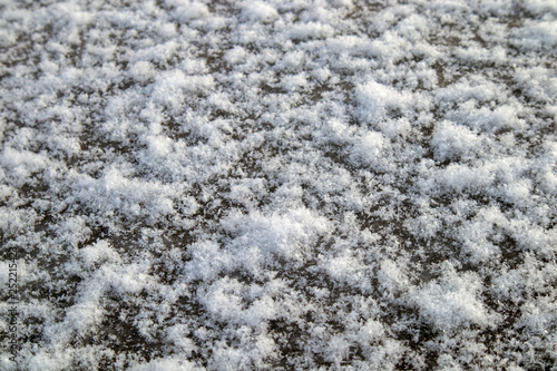 fresh snow on ground