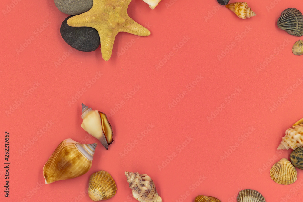 Obraz premium Shells of shellfish, starfish, pebbles-the memory of the sea. A collection of them on a pink background turns into a photo frame for a girl.