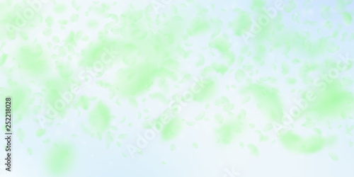 Wallpaper Mural Green flower petals falling down. Fantastic romant Torontodigital.ca