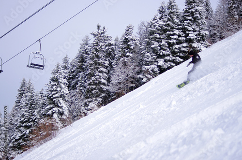 sports d'hiver - snowboard en poudreuse
