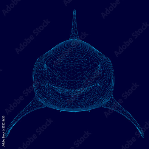Polygonal shark wireframe of blue lines on a dark background. Front view. 3D