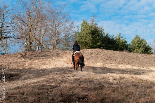 Girl on horse riding nature, women western riding