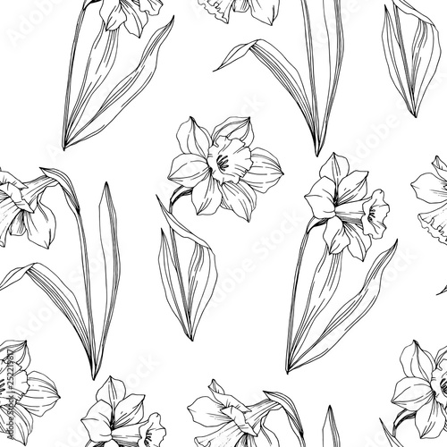 Vector Narcissus floral botanical flower. Black and white engraved ink art. Seamless background pattern.