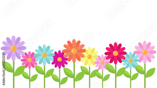 vector card template with bright daisy flowers and place for your text