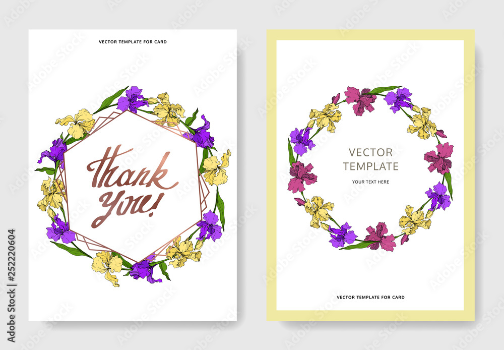 Vector Iris floral botanical flower. Engraved ink art. Wedding background card floral decorative border. Vector Iris floral botanical flower. Engraved ink art. Wedding background card floral decorative border.