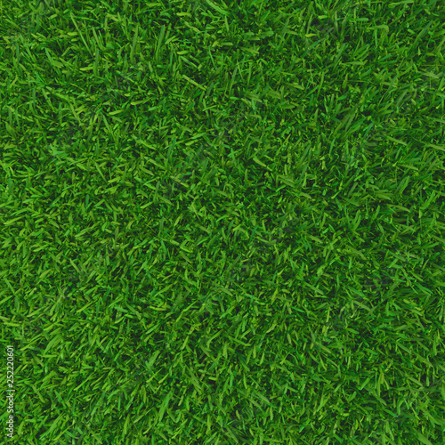 Green grass. background texture. fresh spring green grass. 3d rendering