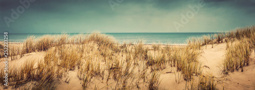 Fototapeta Naklejka Na Ścianę i Meble -  Sandy beach with dunes and sea