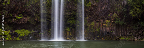 Whangarei Falls, a popular waterfall in the Northlands Region of North Island, New Zealand photo