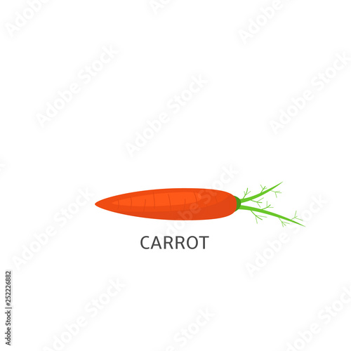 Carrot Vector illustration
