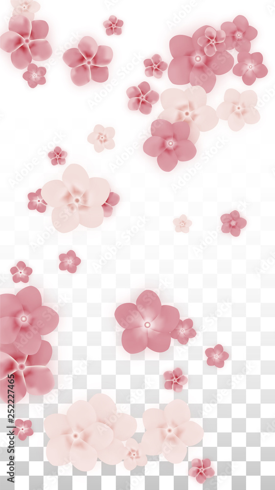 Vector Realistic Pink Flowers Falling on Transparent Background. Spring Romantic Flowers Illustration. Flying Petals. Sakura Spa Design. Blossom Confetti. Design Elements for Wedding Decoration. Vector Realistic Pink Flowers Falling on Transparent Background. Spring Romantic Flowers Illustration. Flying Petals. Sakura Spa Design. Blossom Confetti. Design Elements for Wedding Decoration.
