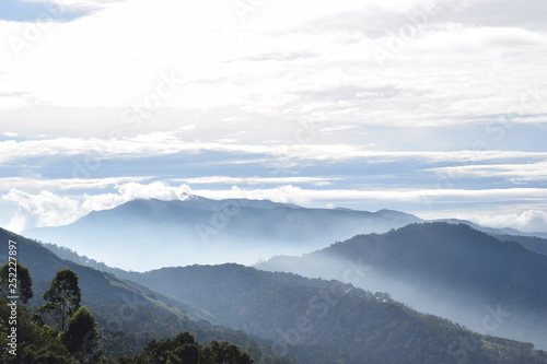 view of mountains Munnar © Ashritha