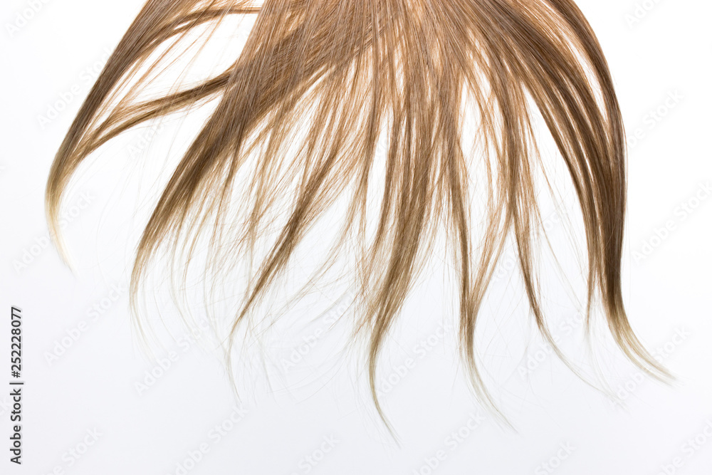 Piece of brown hair on white isolated background