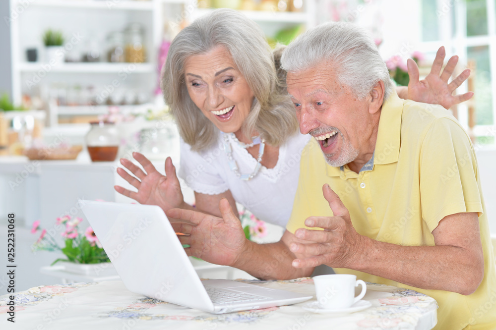 Portrait of senior couple using laptop at home Portrait of senior couple using laptop at home