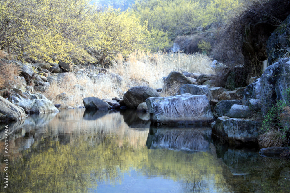 Fototapeta premium spring scene