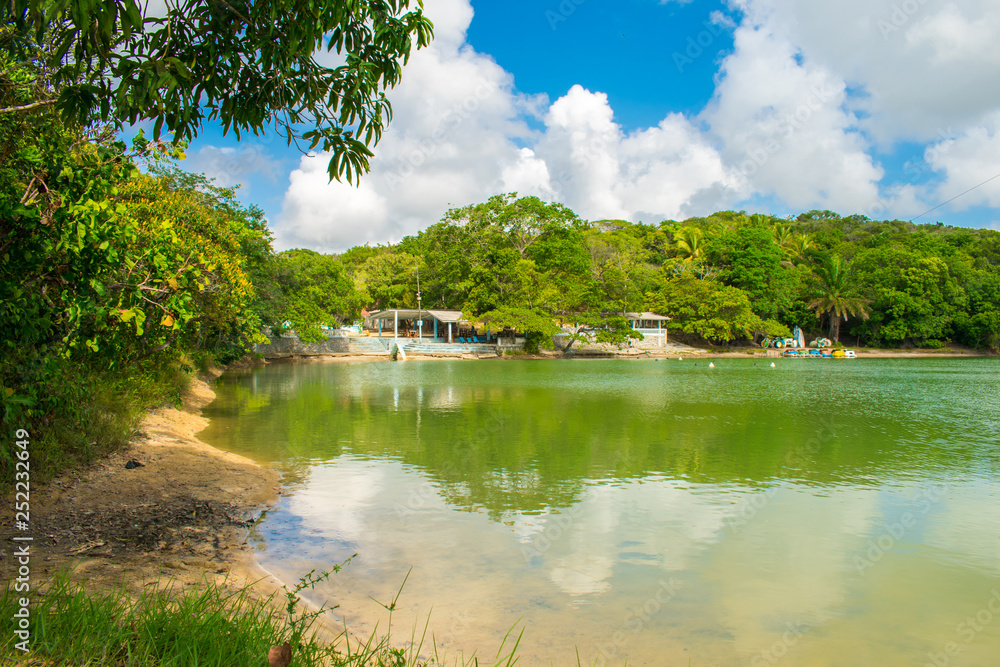 Fototapeta premium A view of Lagoa Azul, beautiful lagoon surrounded by preserved Atlantic Forest on Itamaraca island, Brazil