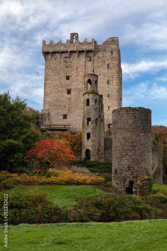 Bunratty Castle, County Cork, Munster, Republic of Ireland photo