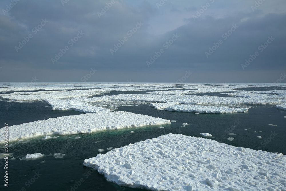 オホーツク海の流氷