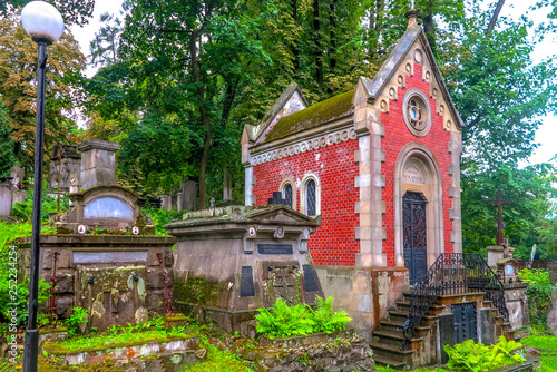 Lviv Lychakiv Cemetery 15